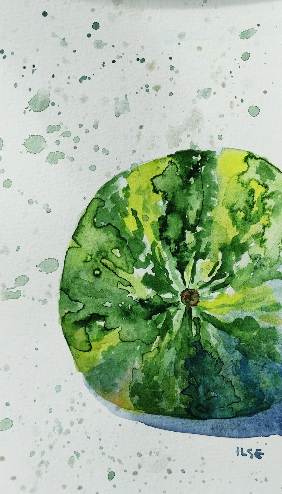 Akvarell Vattenmelon av Ilse Hviid