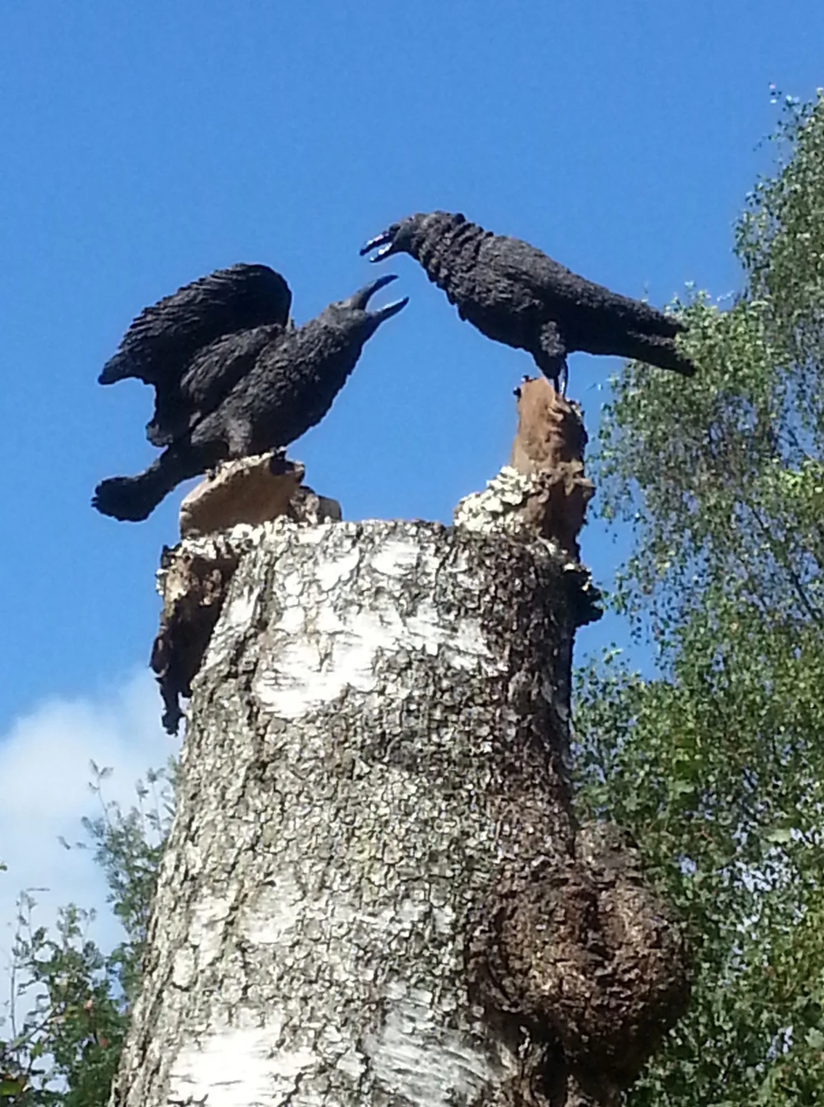 Hugin och munin av Magnus Lundberg