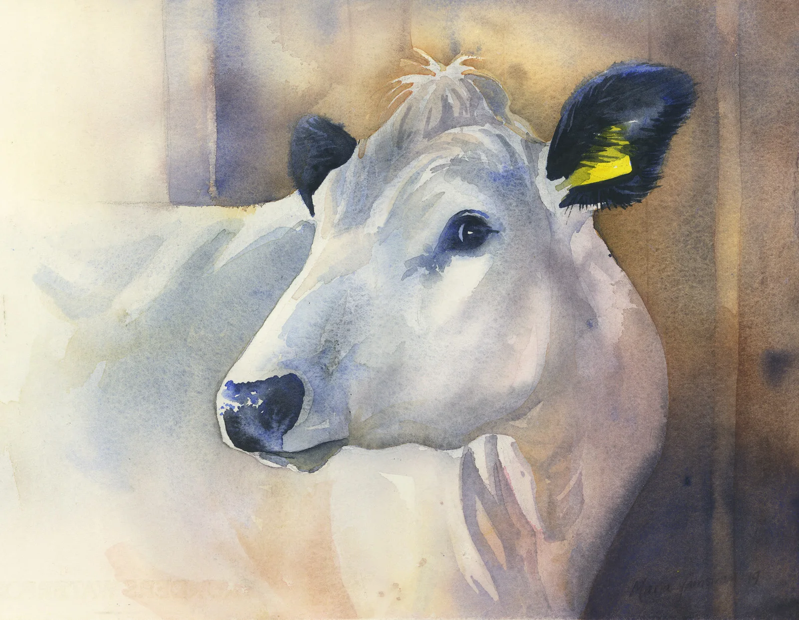 Akvarell Audhumbla av Maria Tjärnström