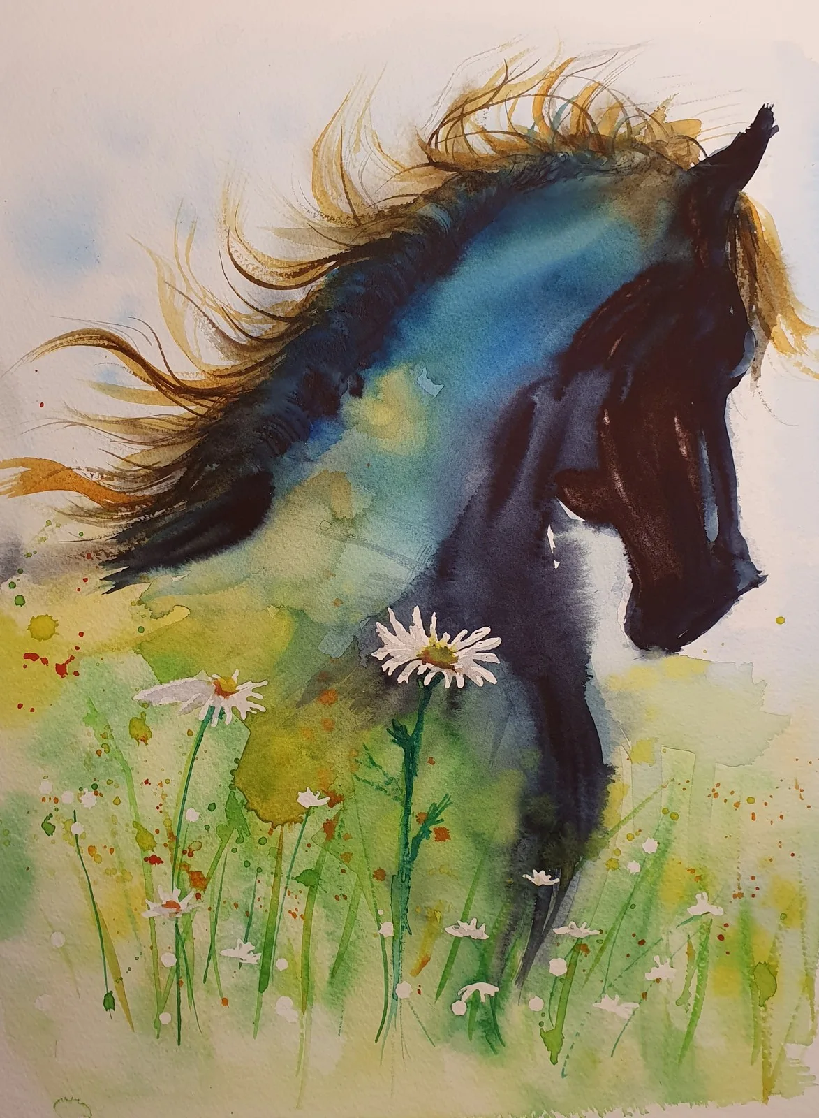 Akvarell Sommaräng av Mia Älegård