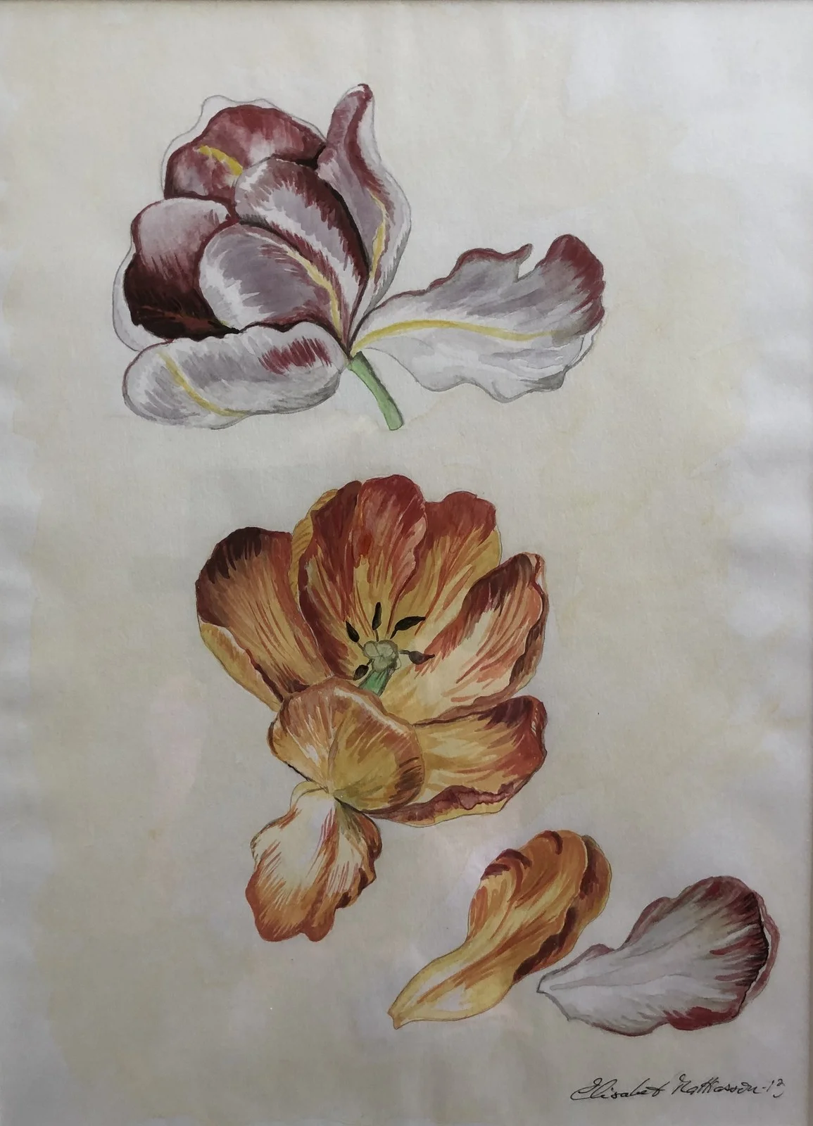 Akvarell Tulpan 1 av Elisabet Mattiasson