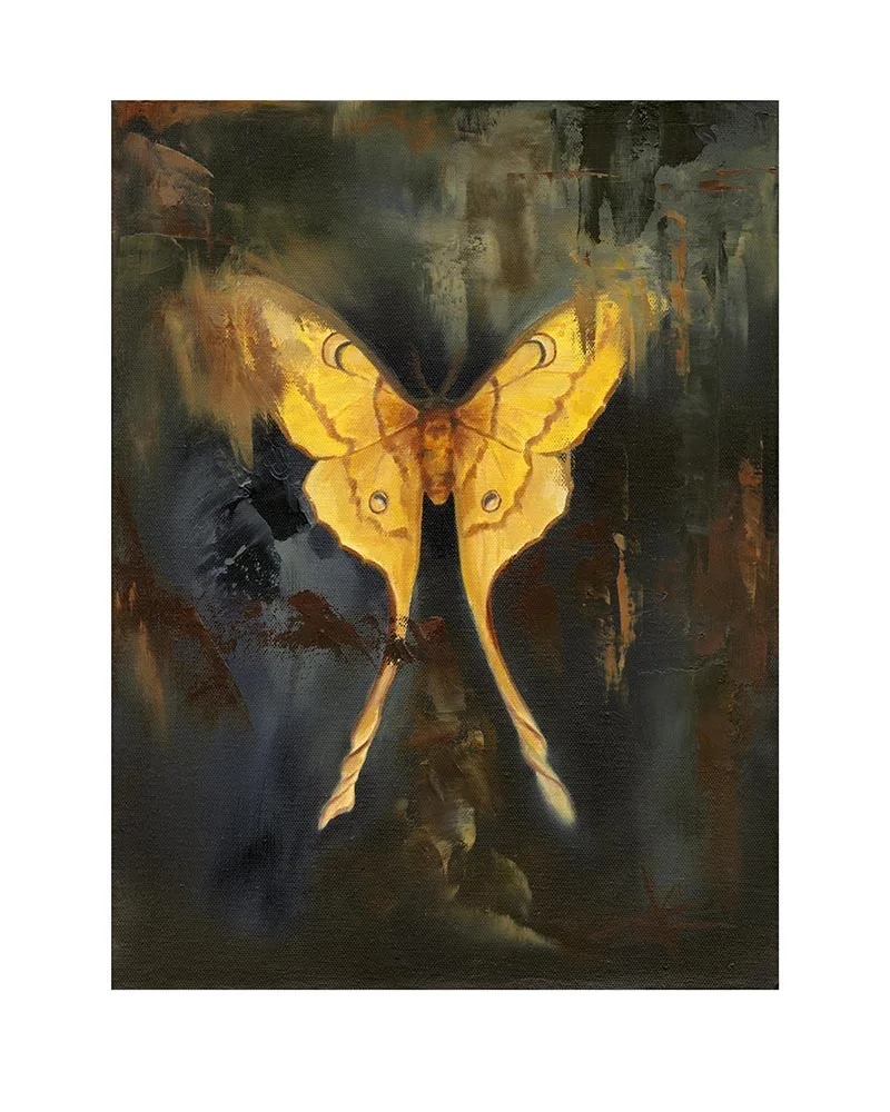 Oljemålning Argema av Frida Johansson-Kuoppala