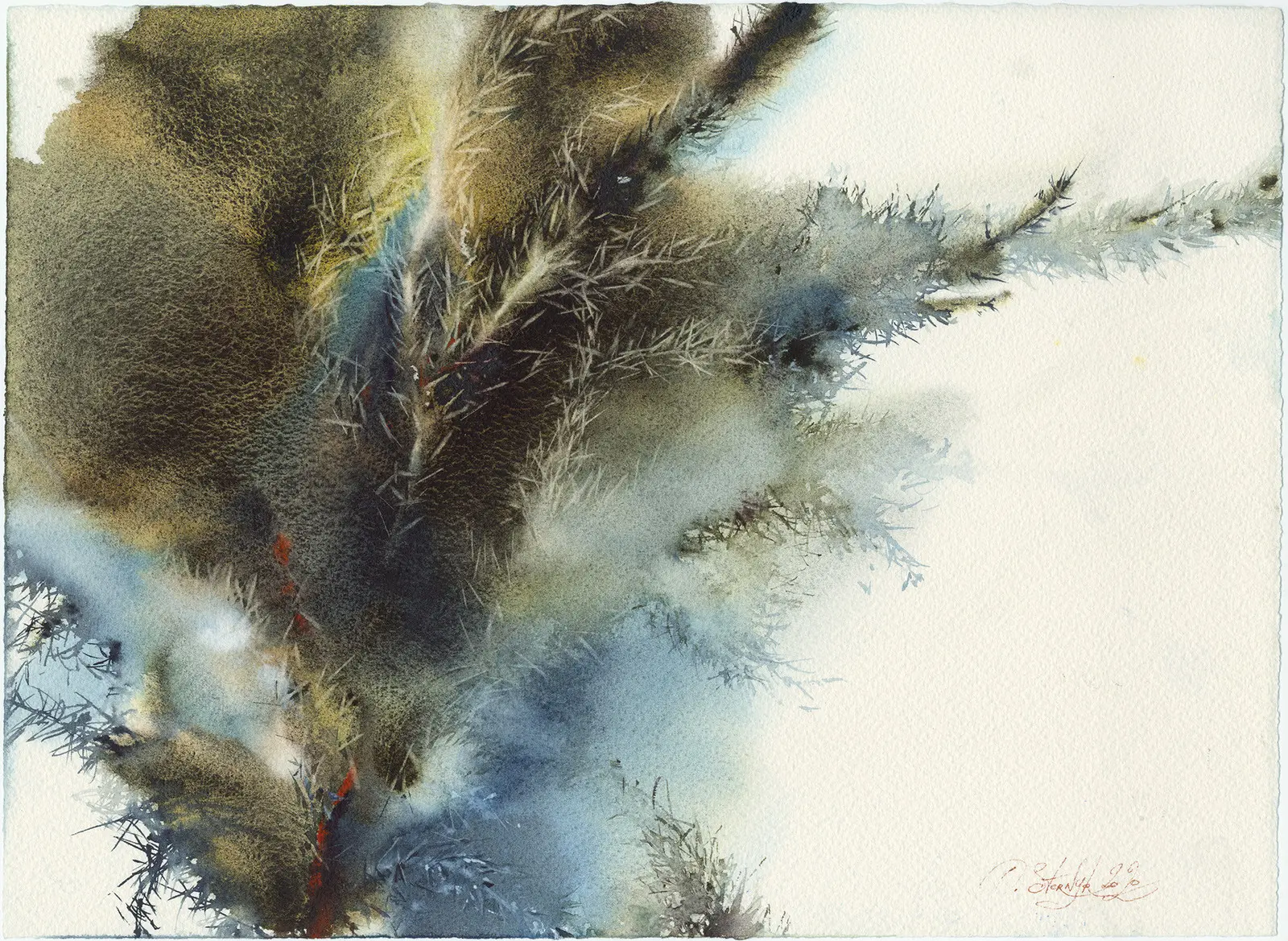 Akvarell Сypress av Olga Sternyk