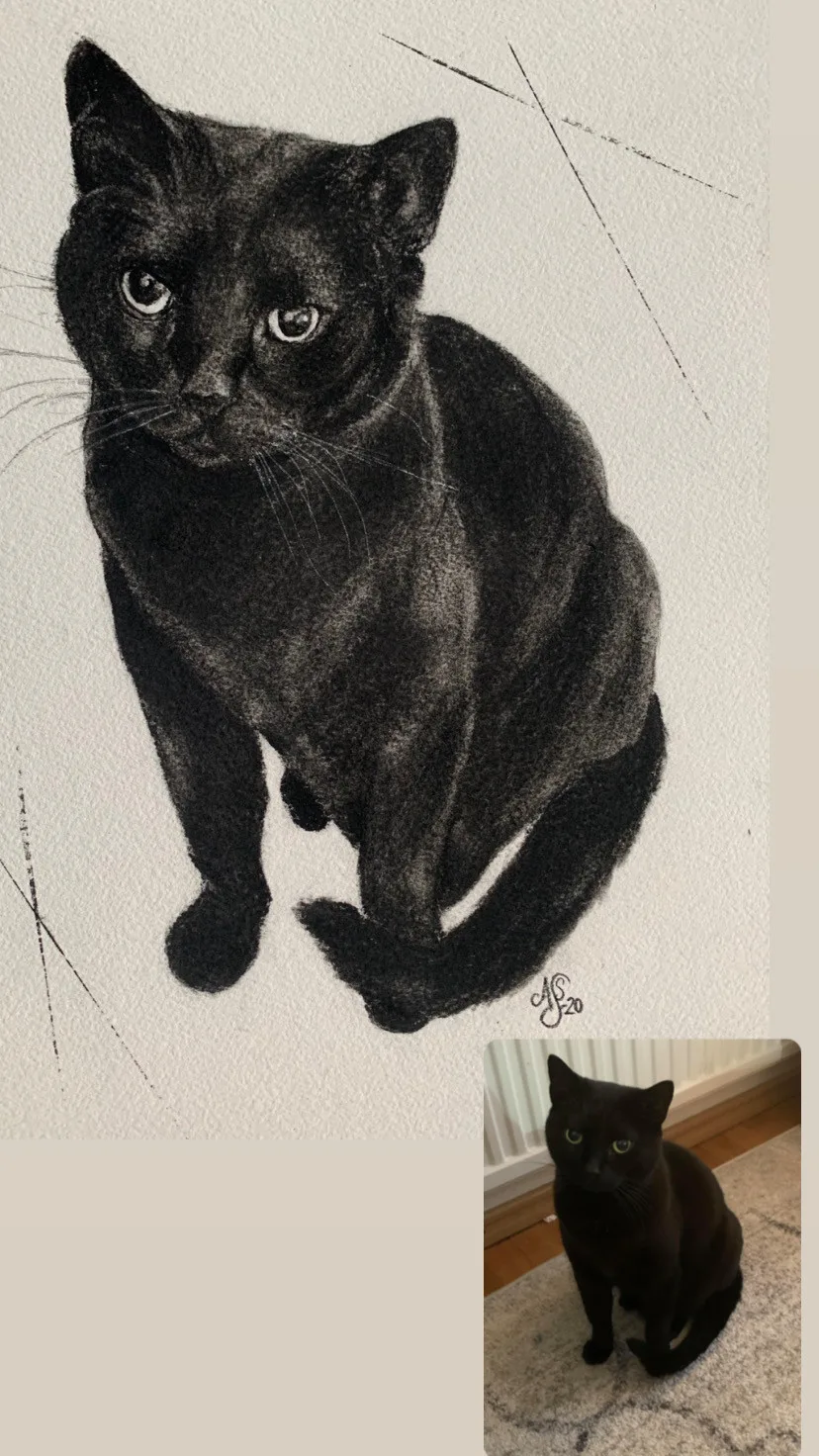 Monty av Ann-Sofie Stjernkvist