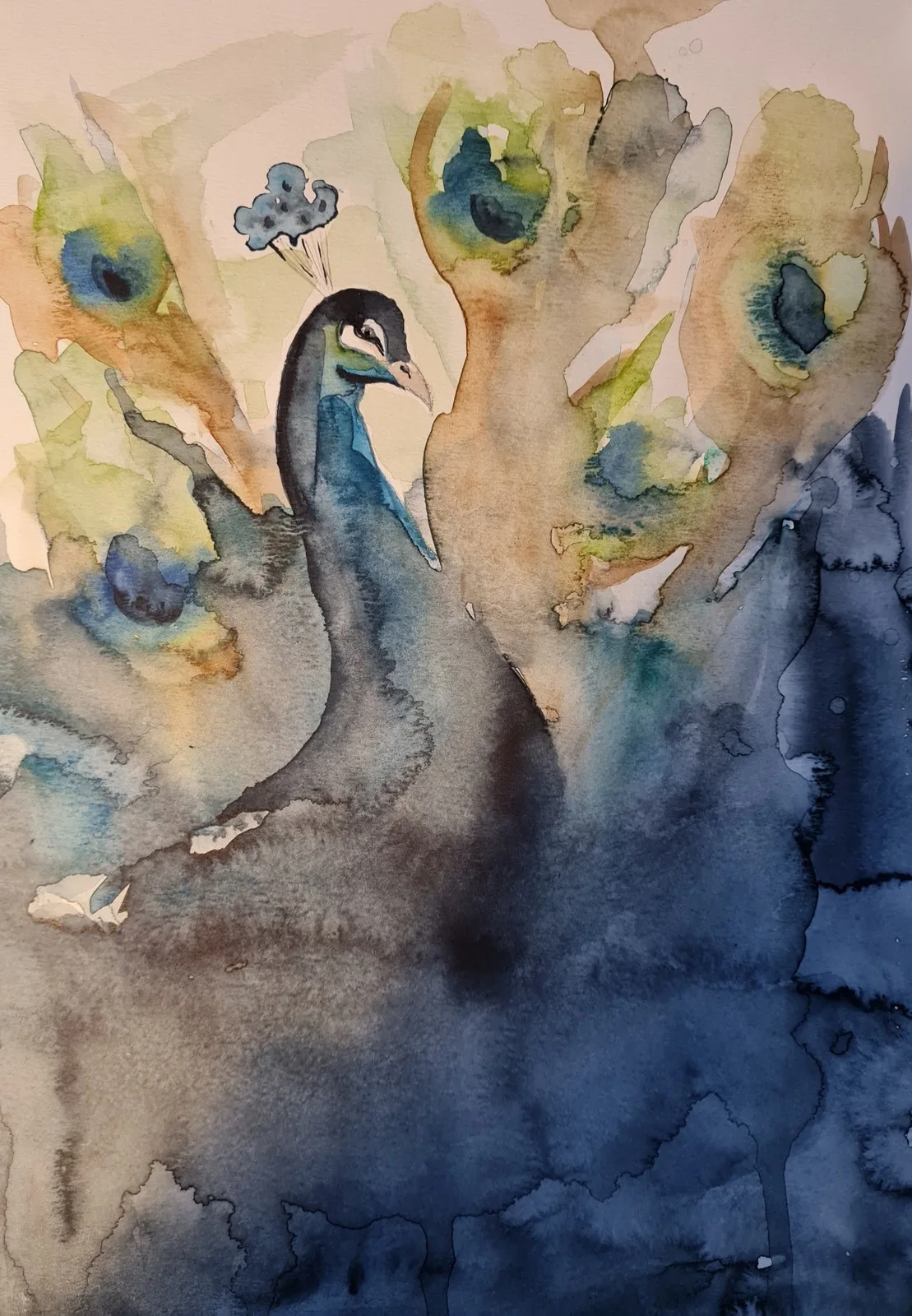 Akvarell Peacock colors av Marika Andersson