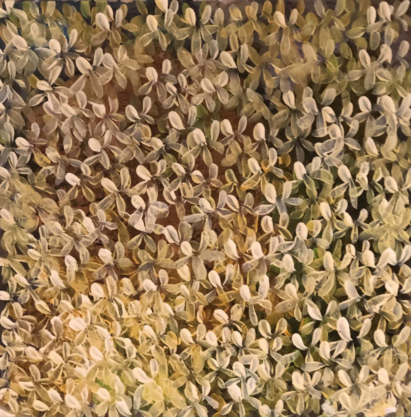 Akrylmålning Petals - kronblad av Annette Landin