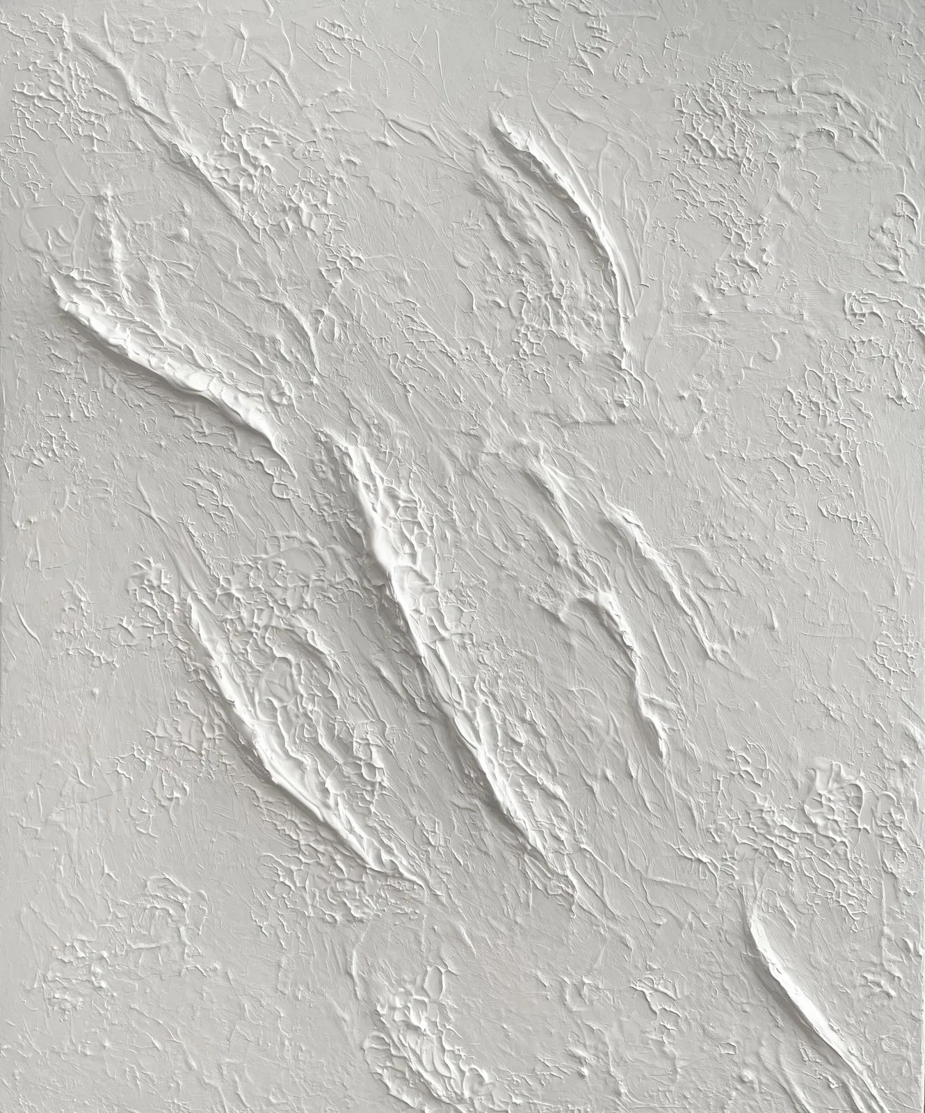 Blanc av Veronica Fuchs