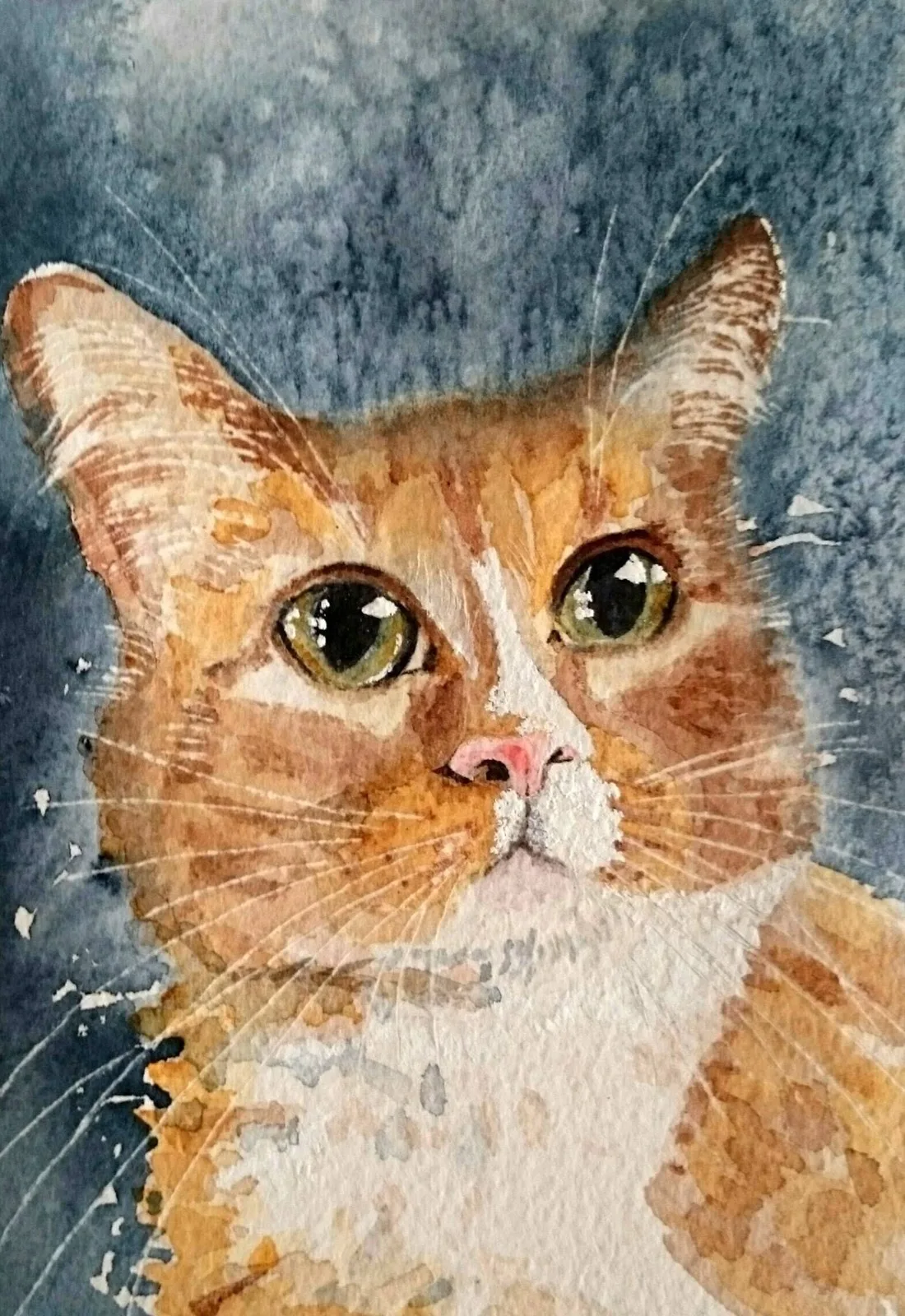 Akvarell Rufus av Catharina Engberg