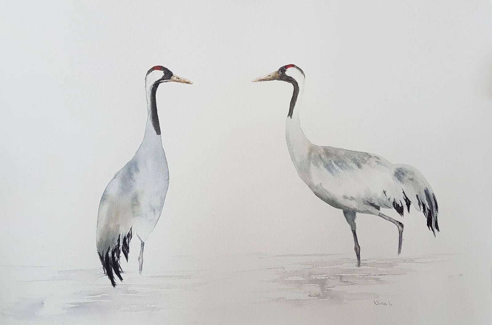 Akvarell Tranor av Nina Laestander