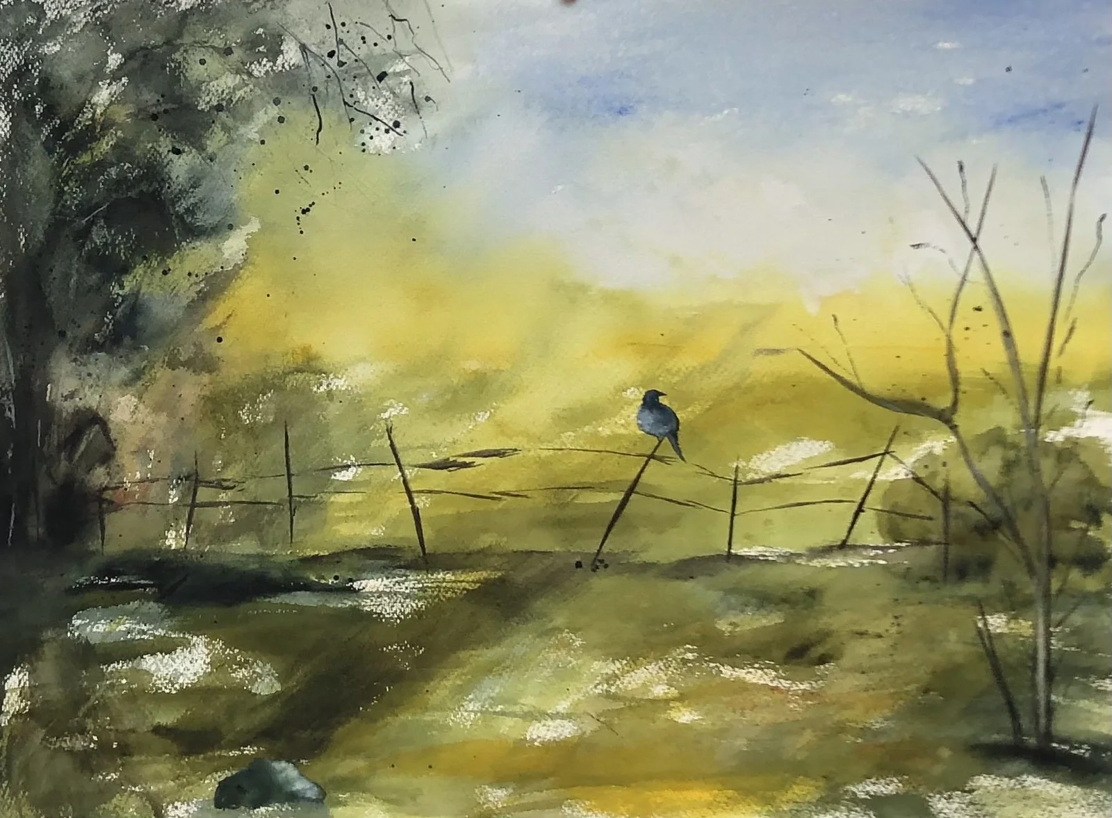 Akvarell Kråkan! av Kristina Gustafsson