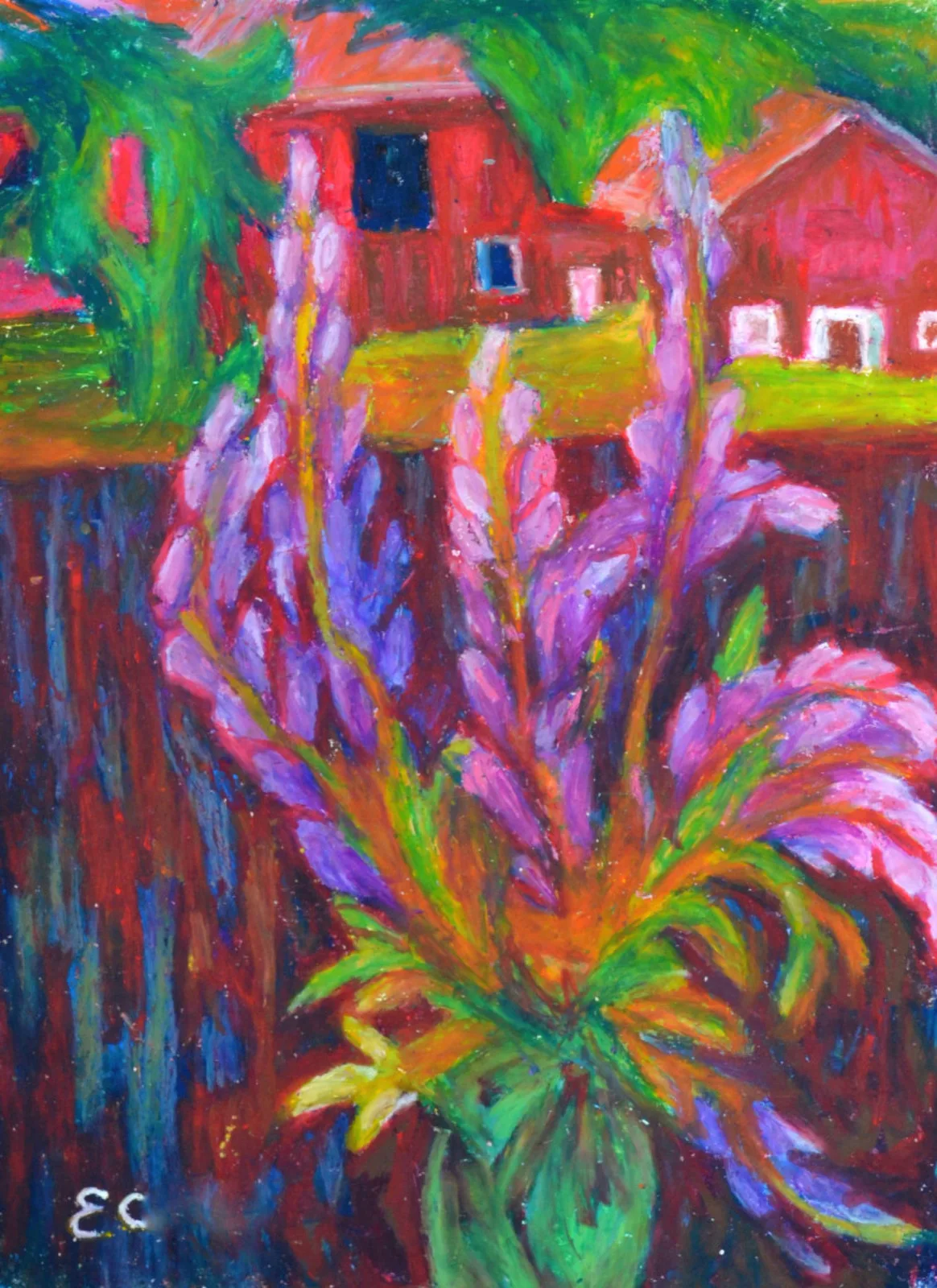 Eva Carty