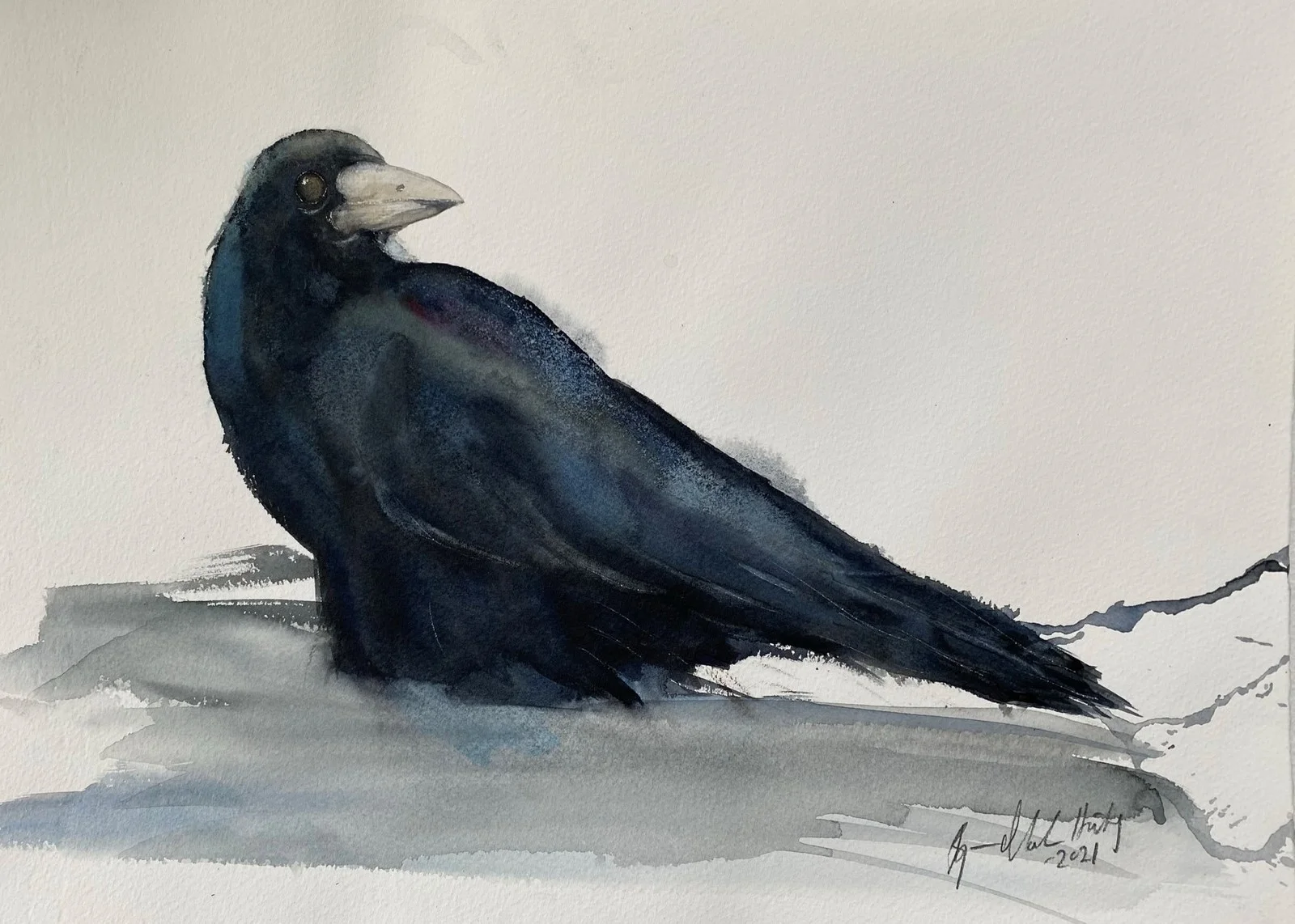 Akvarell Nyfiken råka av Bjarne Madsen Härdig