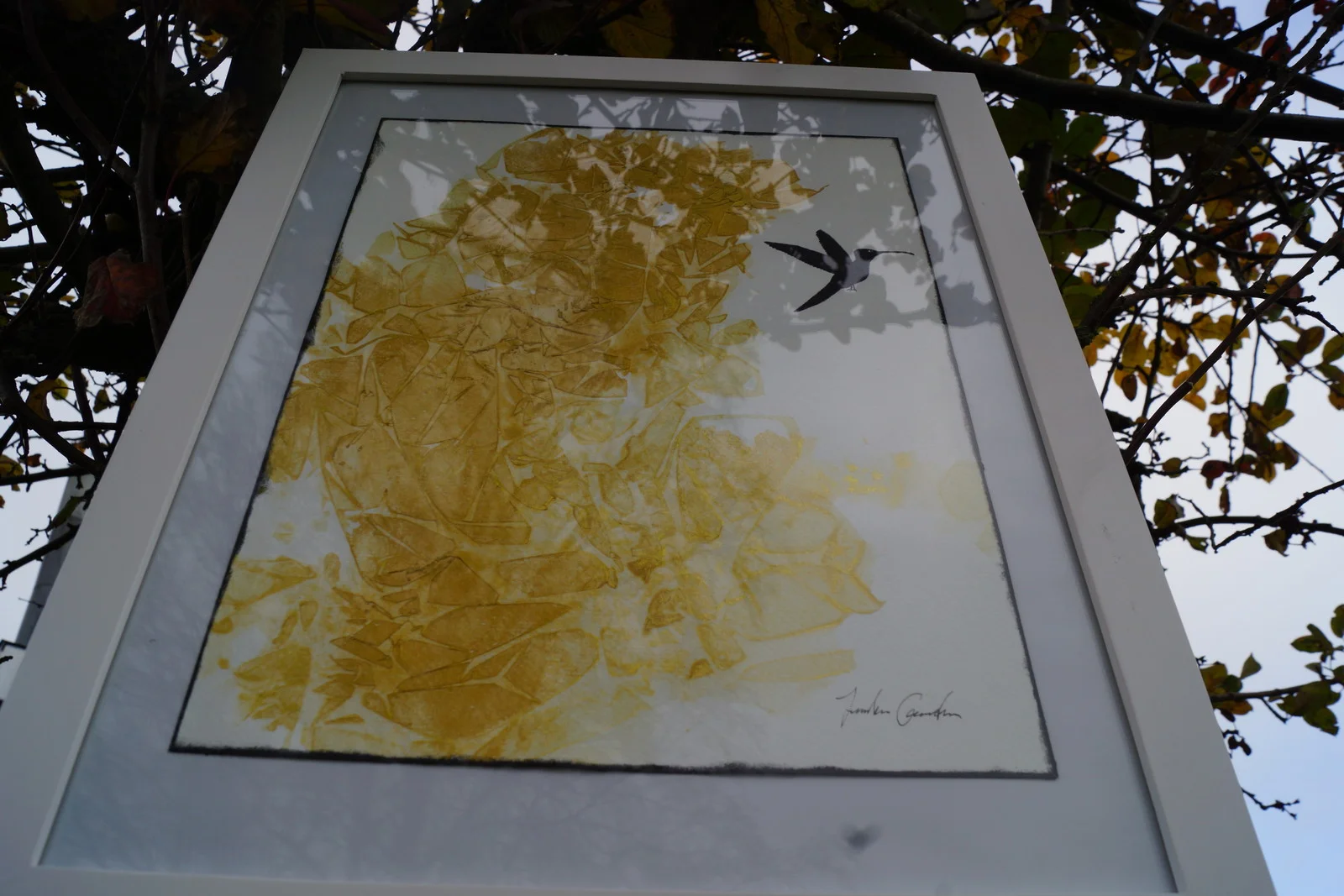 Akvarell Kolla en kolibri! av Jonathan Gustafsson