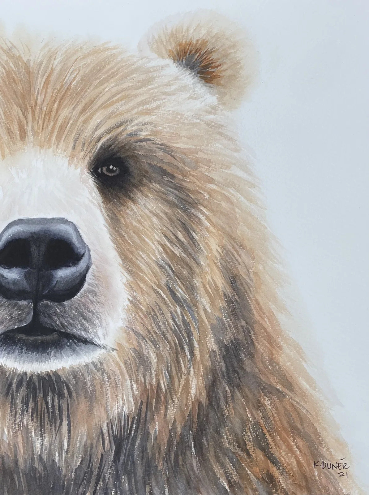 Akvarell Björn av Kristina Dunér