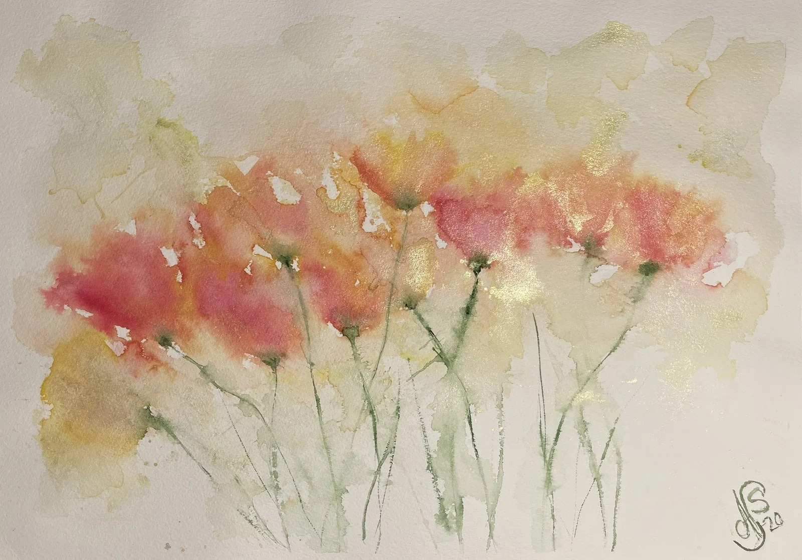 Akvarell Glödande vallmo av Ann-Sofie Stjernkvist