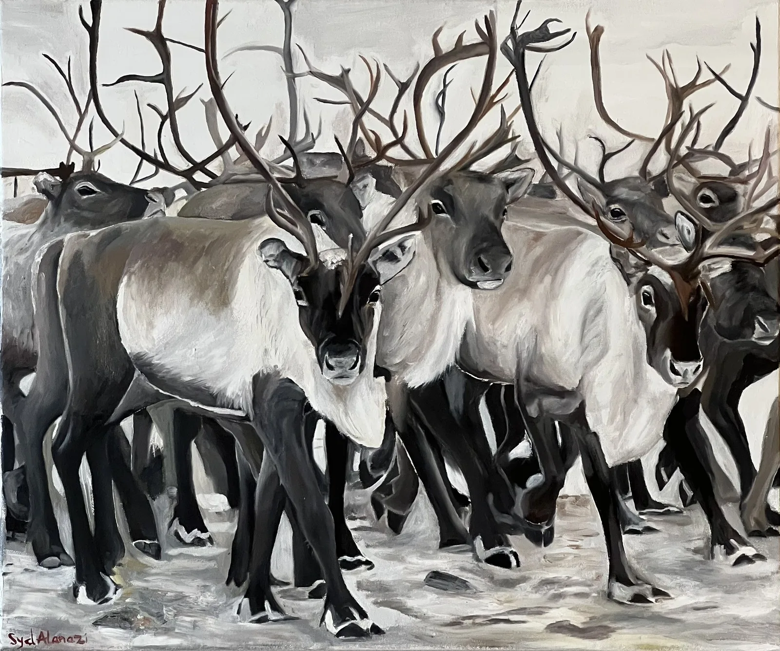 Oljemålning Flock av renar av Syd A. Dilbat
