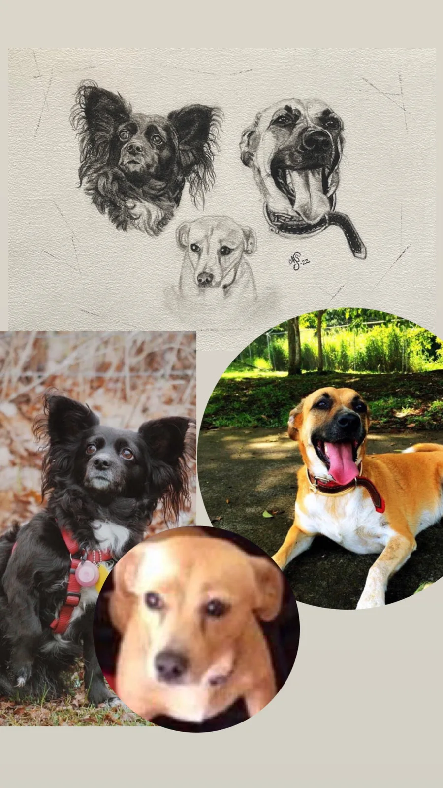 Trio av mixade raser av Ann-Sofie Stjernkvist