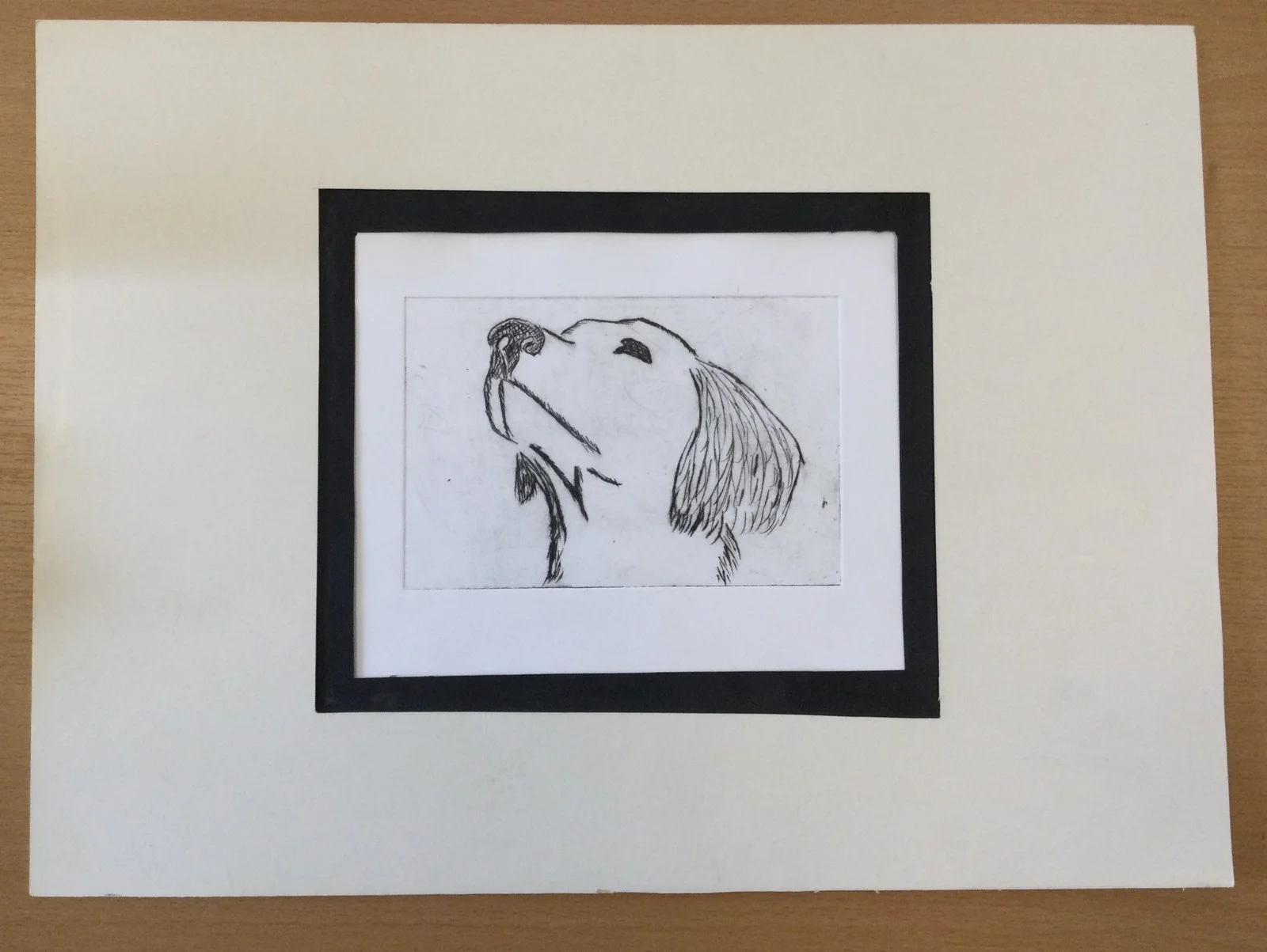 Sara Solsjäl Helgefalk