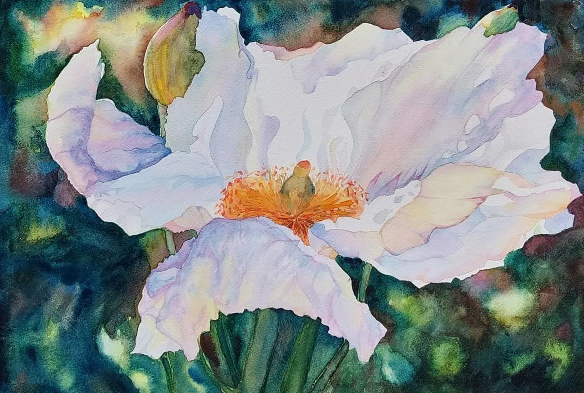 Akvarell White Petals in Sunlight av Linus Wernersson