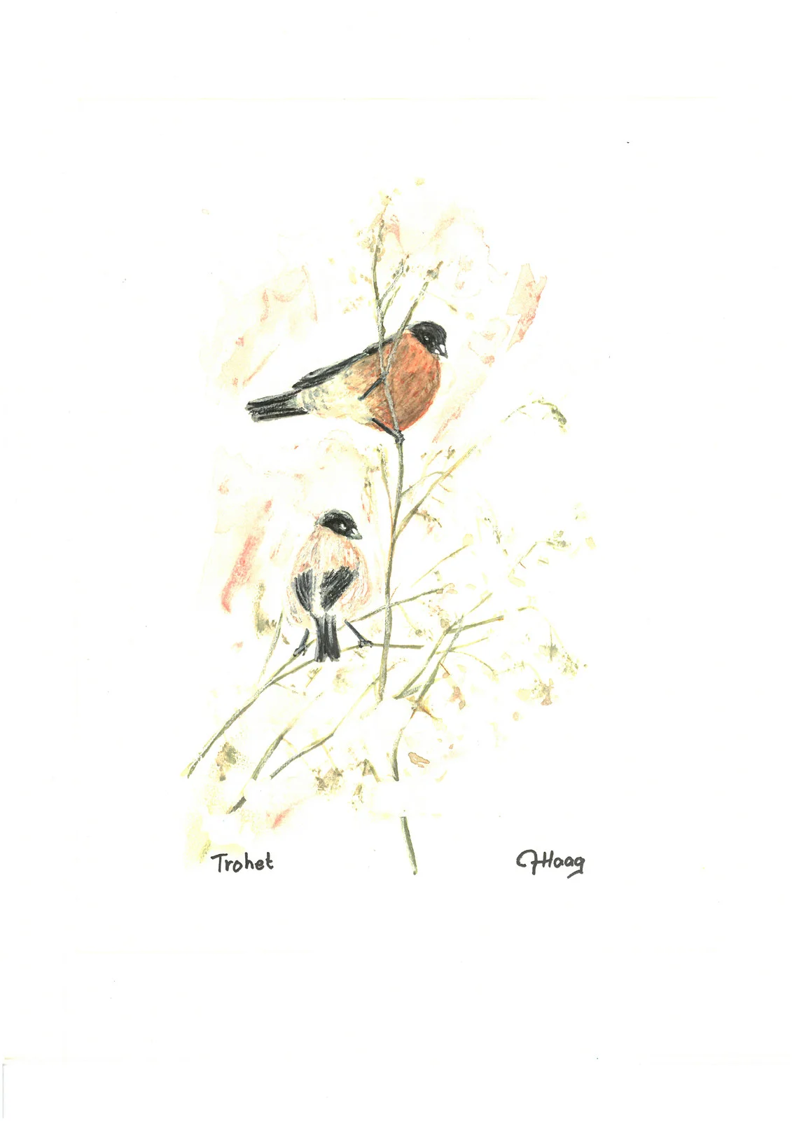 Trohet av Anders Haag