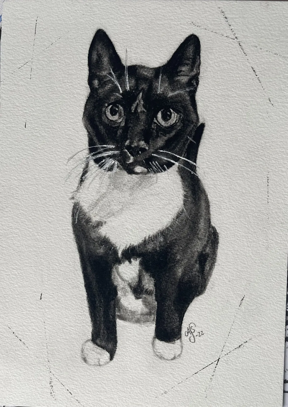 Katt av Ann-Sofie Stjernkvist