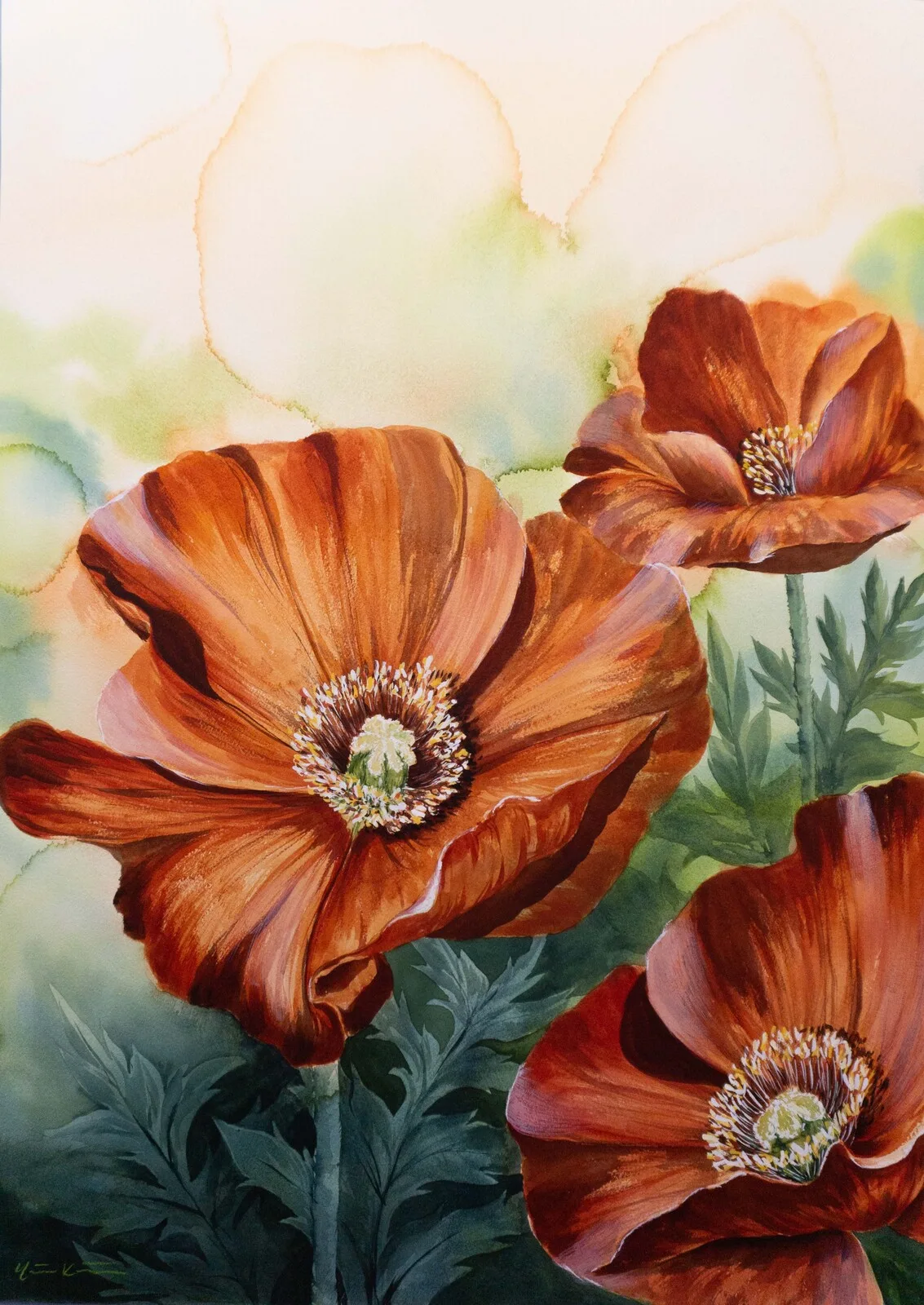 Akvarell Isländsk Vallmo av Malin Kämpe