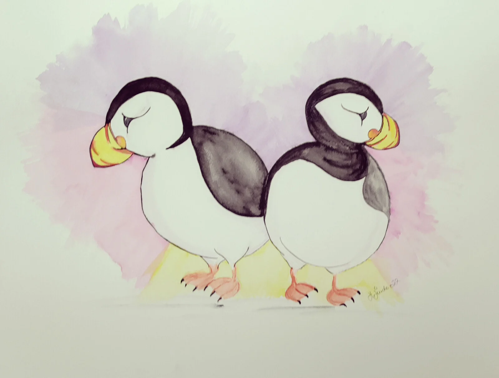 Akvarell Puffin in Love av Helén Linde
