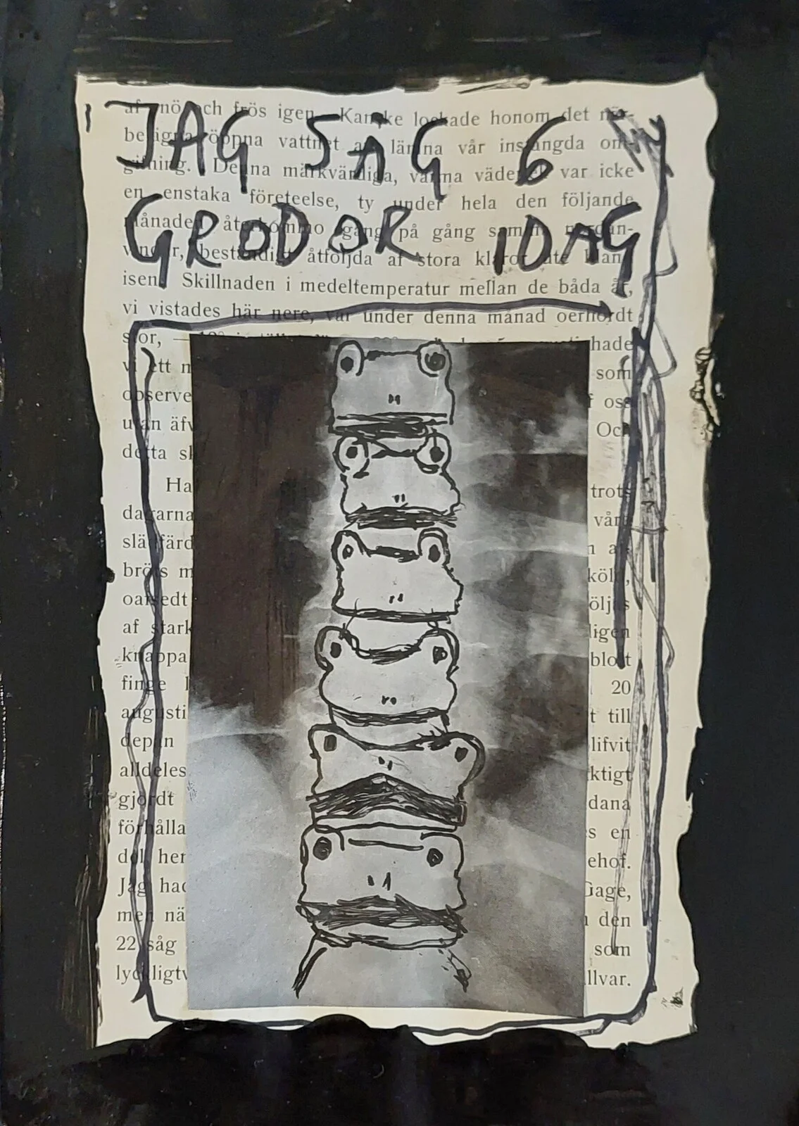 Jag såg 6 grodor idag av Mikael Jonsson