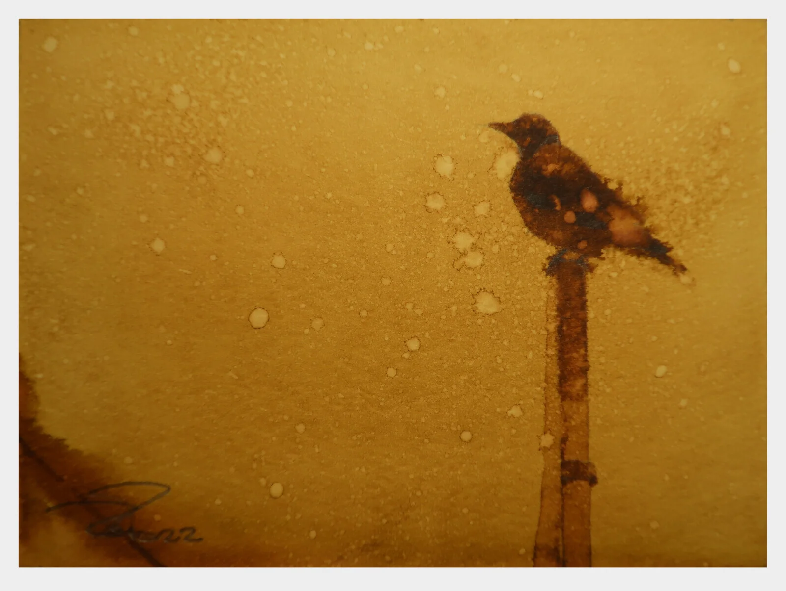 10 av Petter Brorson Edh