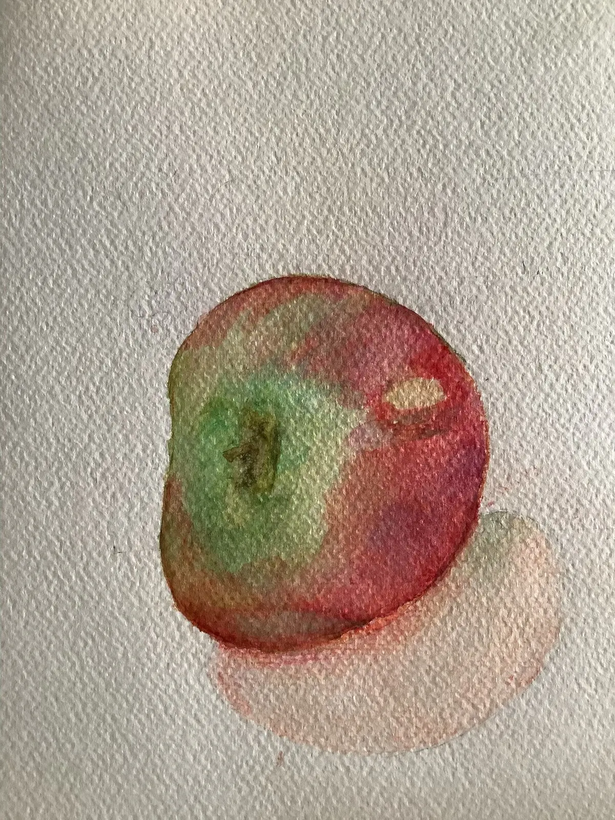 Akvarell Äpple av Maria Widermark