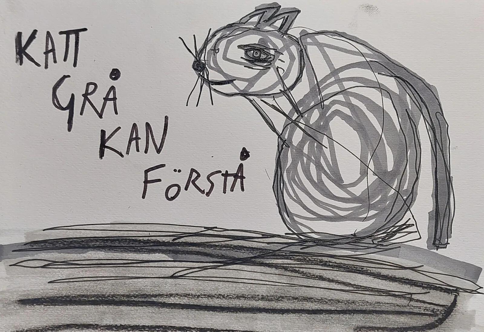 Katt grå kan förstå av Mikael Jonsson