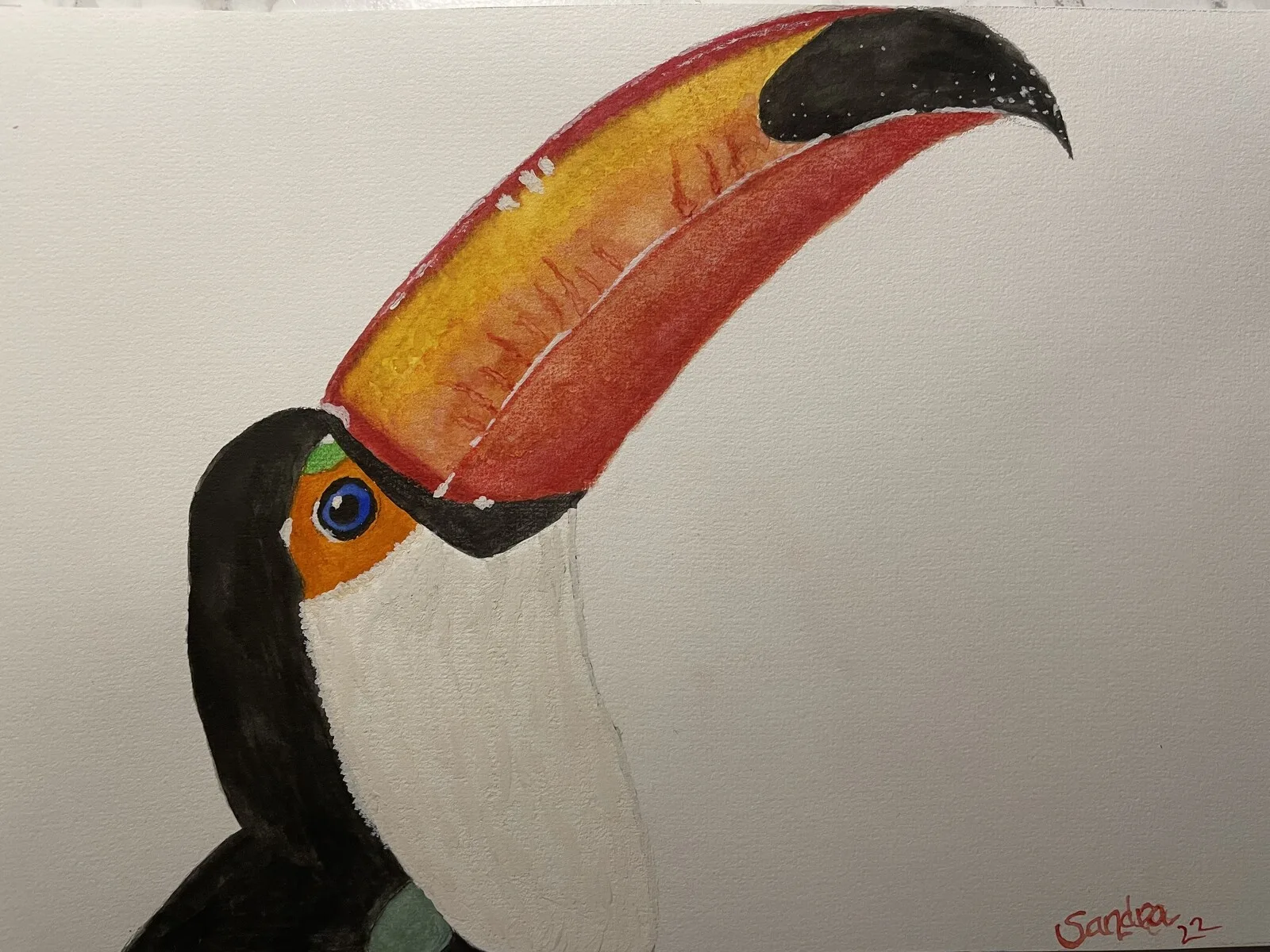 Tucan av Sandra Dahlgren