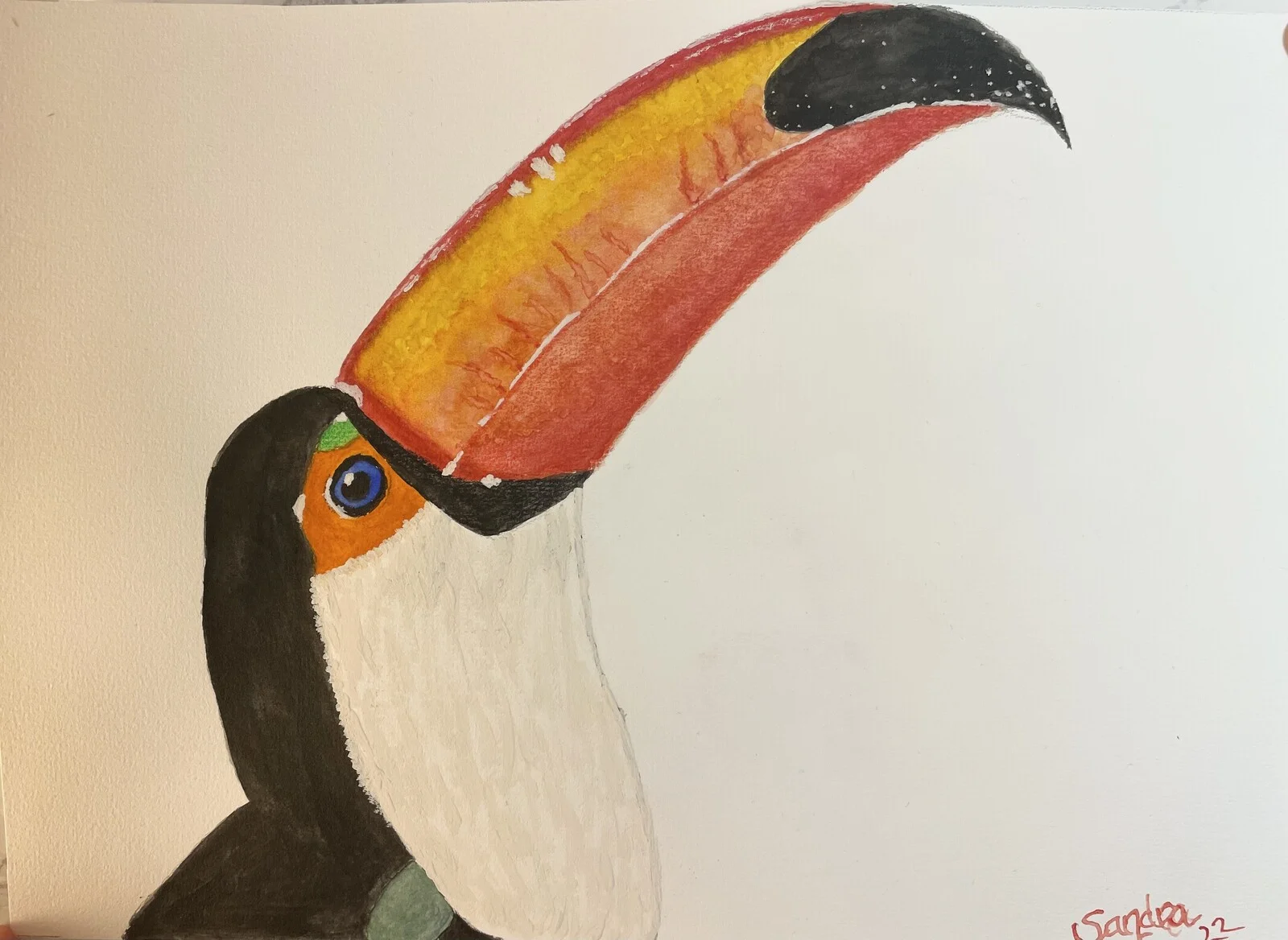 Tucan av Sandra Dahlgren