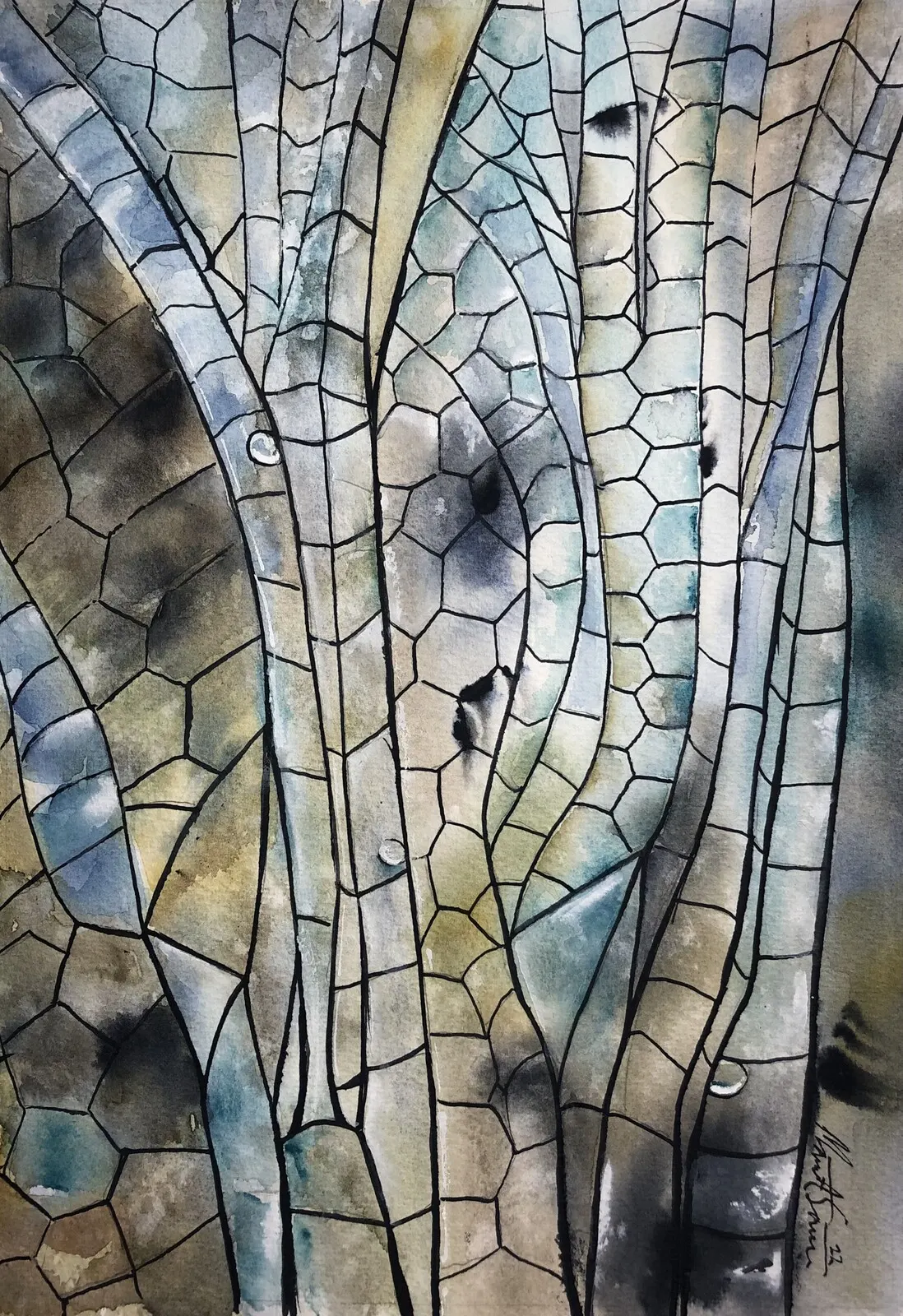 Akvarell Vinge trollslända av Märith Sovin