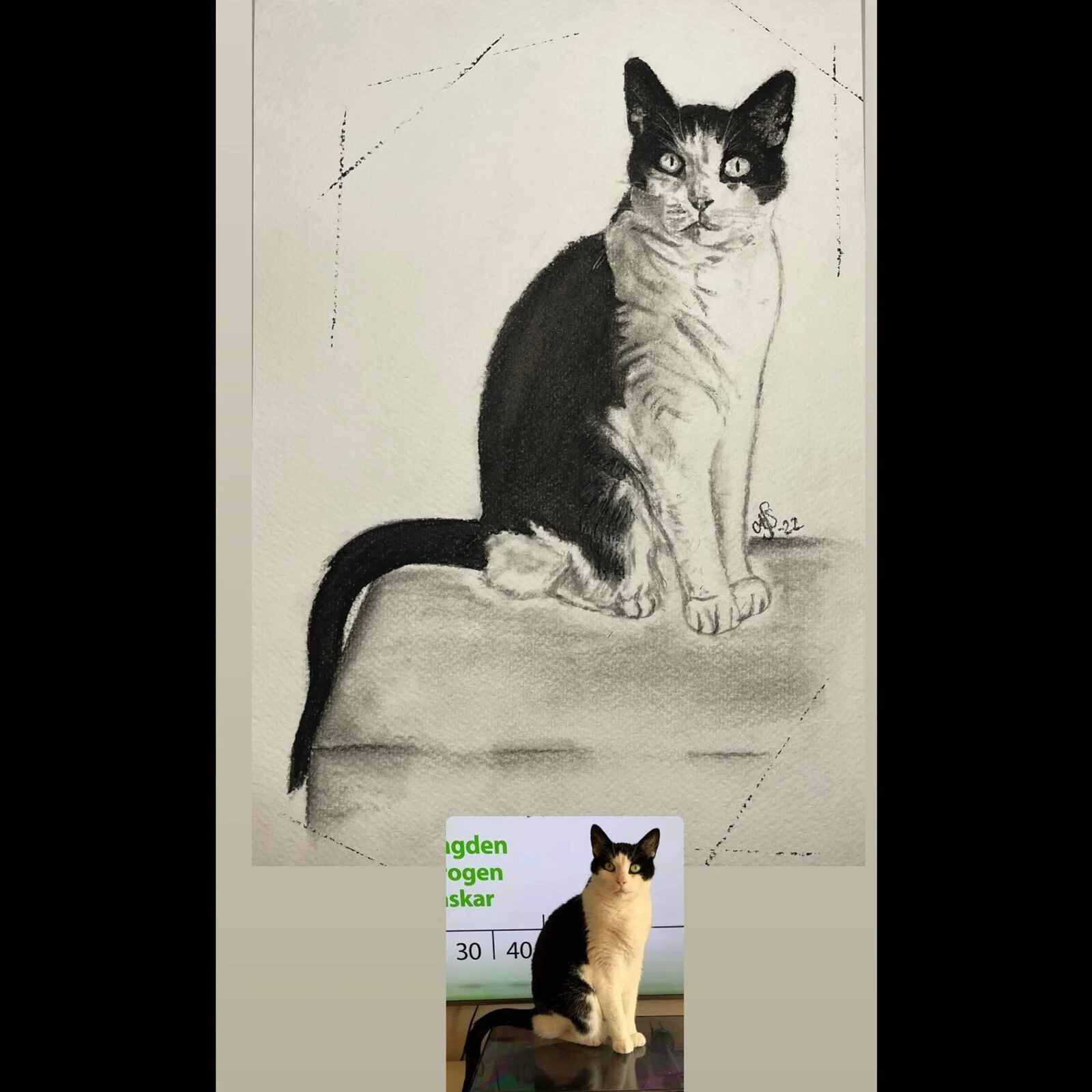 Katt av Ann-Sofie Stjernkvist