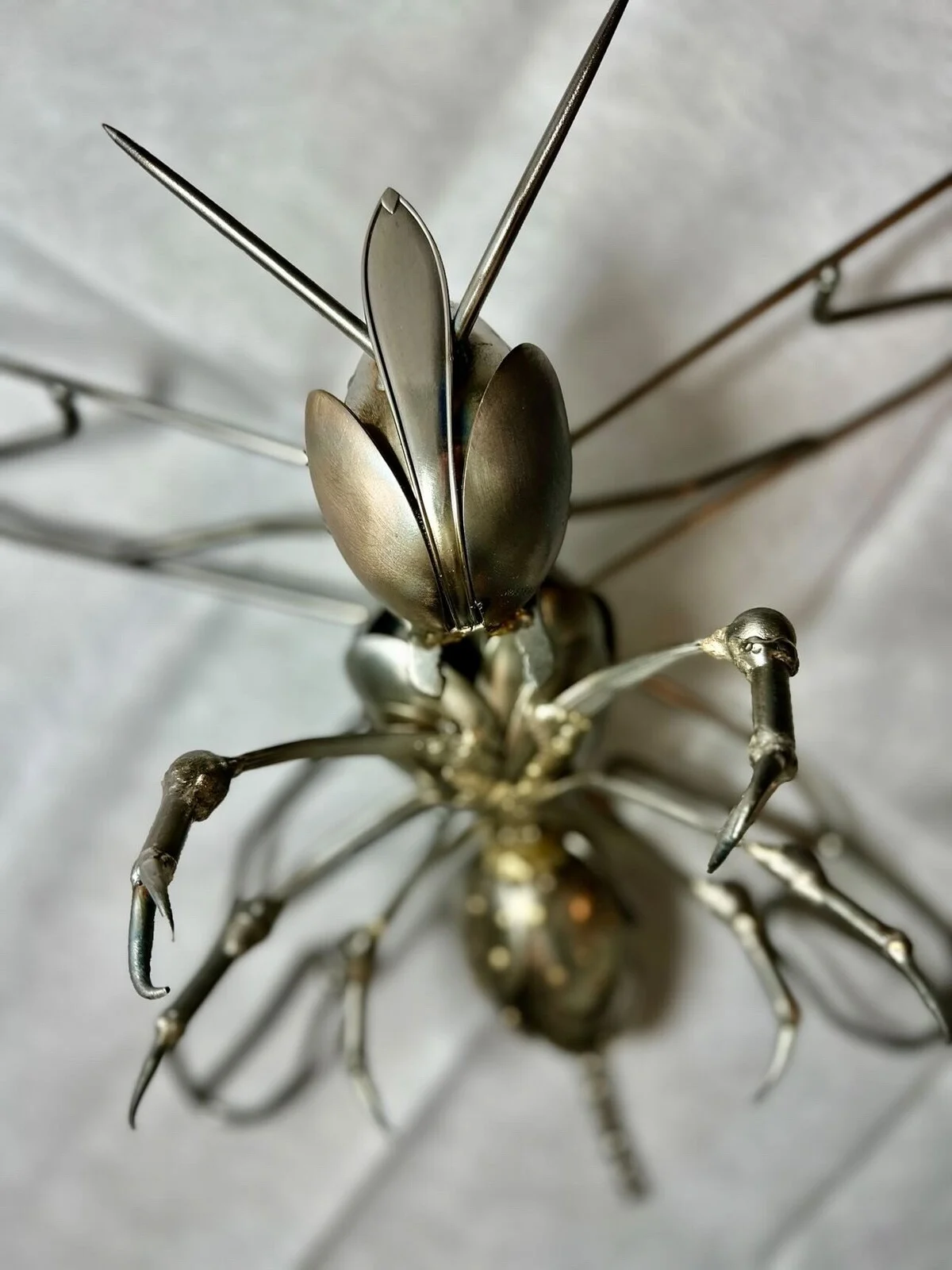 Wasp av Thomas Nowobilski
