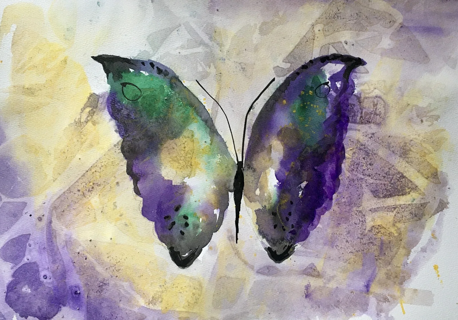 Akvarell Sagofjäril av Gunilla Tuvin