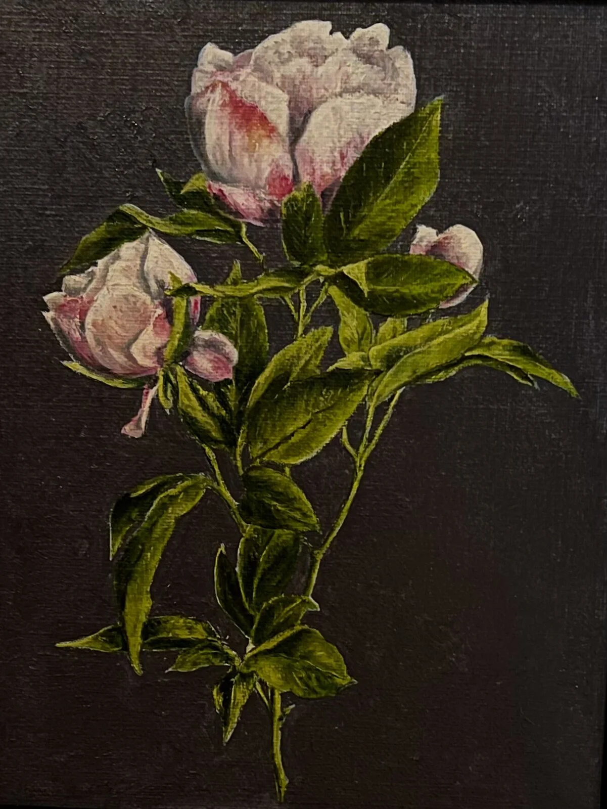 Oljemålning En stjälk av pionen av Helen Boreson Holmberg