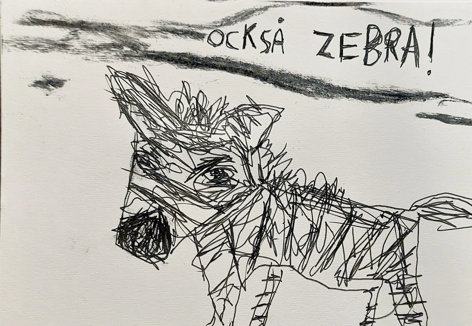 Också zebra! av Mikael Jonsson