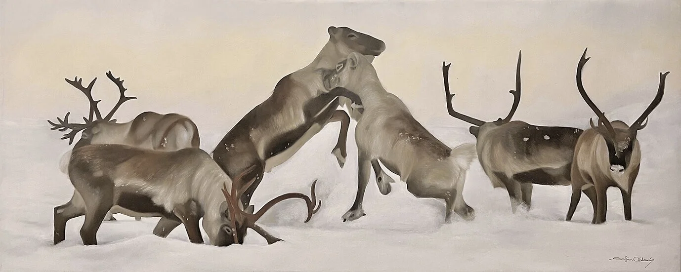 Oljemålning Reindeer fight II av Sofia Ohlsén