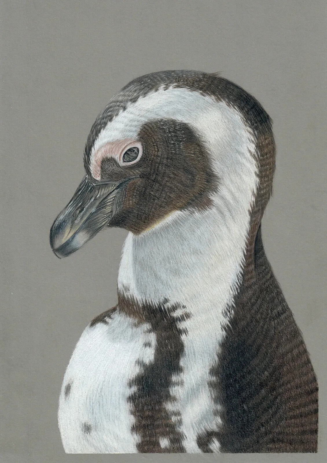 Solen värmer av Angelica Diehn