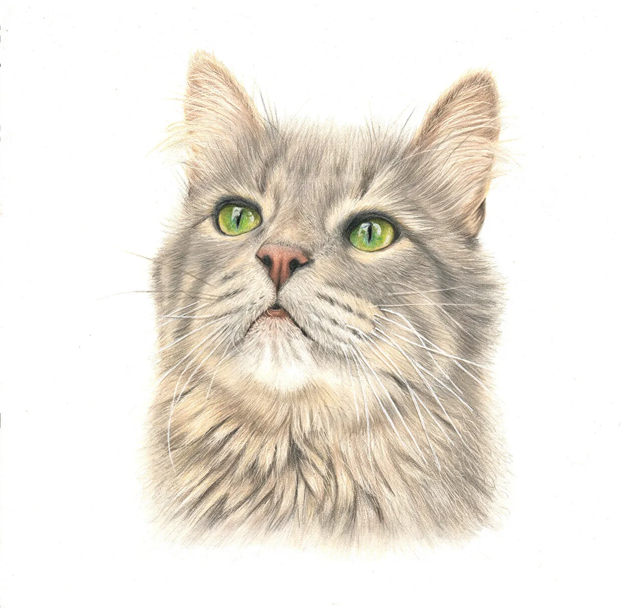 Smaragdögonen av Angelica Diehn