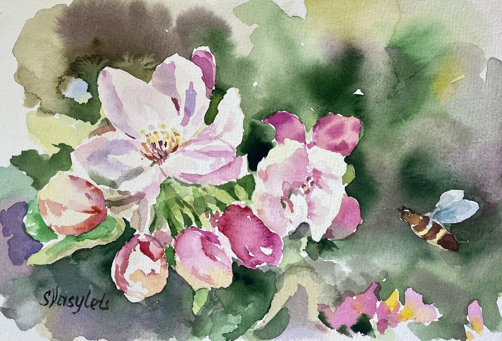 Akvarell Äppelblomm av Svitlana Vasylets