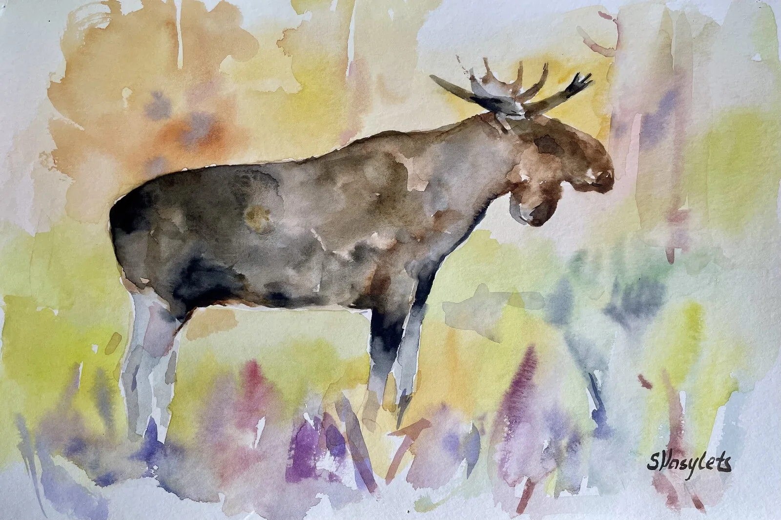 Akvarell Älg av Svitlana Vasylets