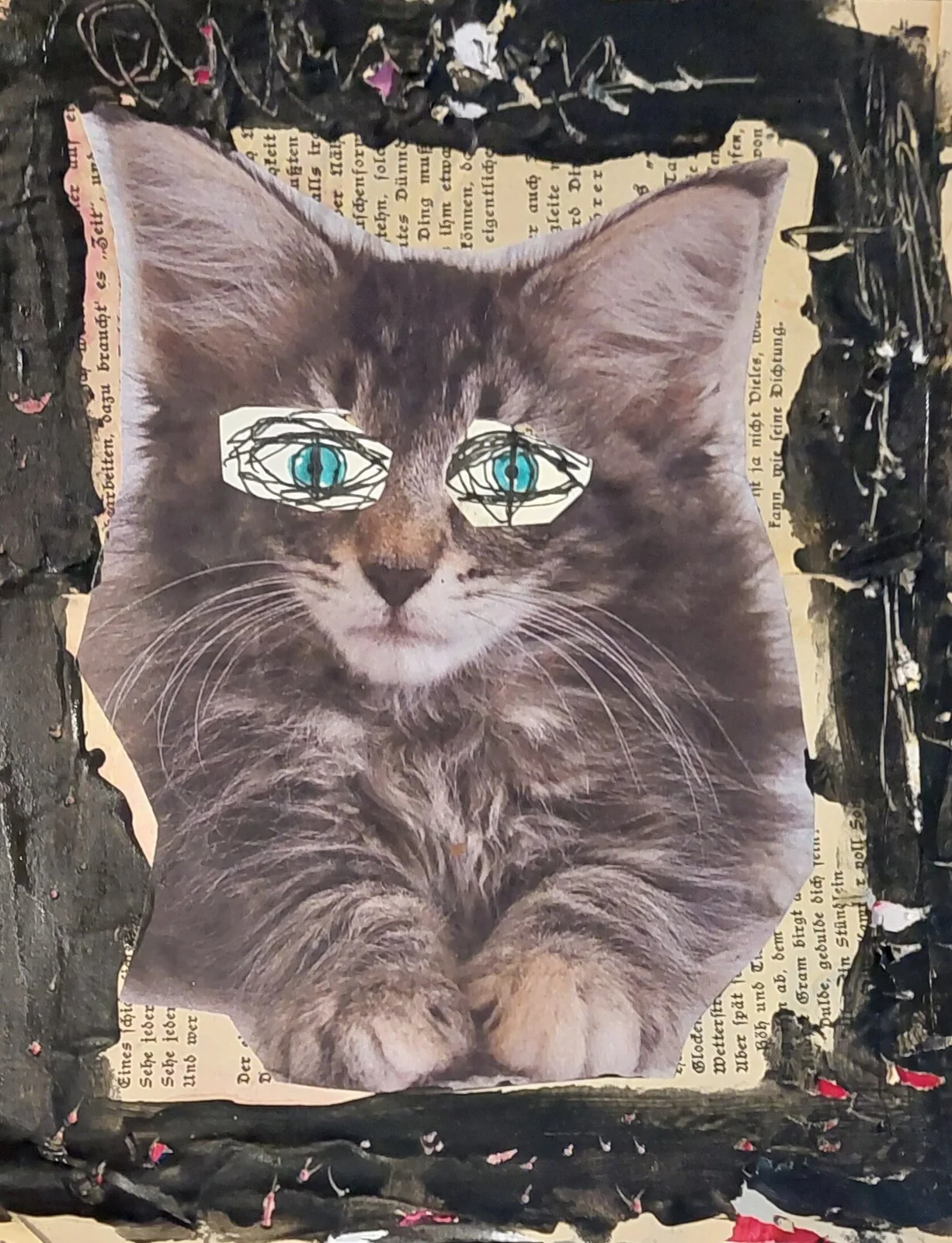 Katt av Mikael Jonsson