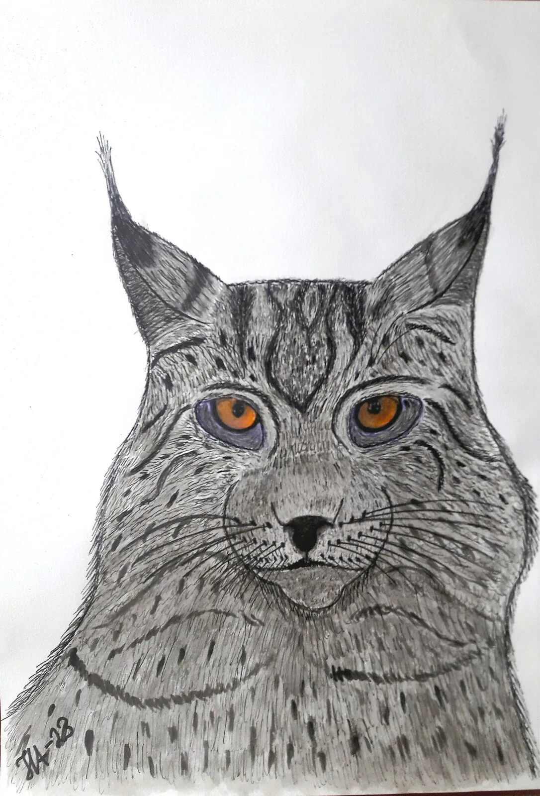 Lodjur av Hans Anders