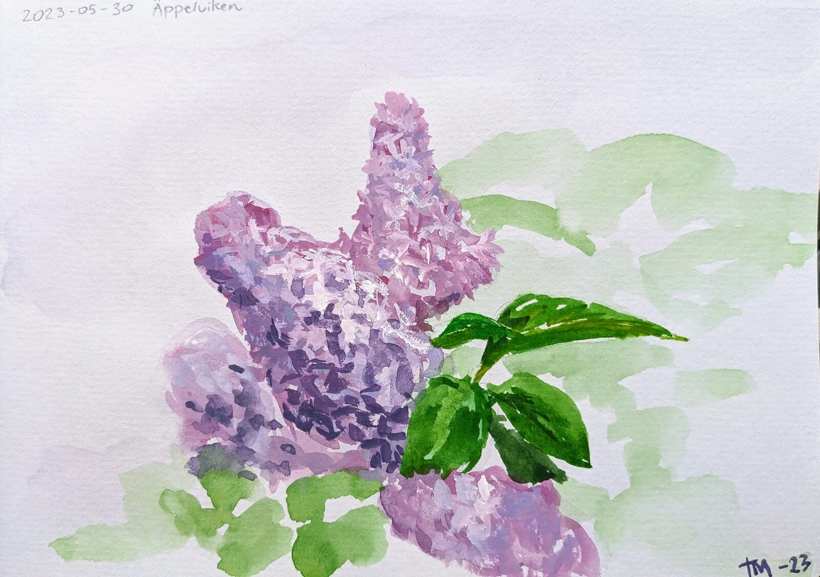 Akvarell Syren av Timofey Makoveychuk