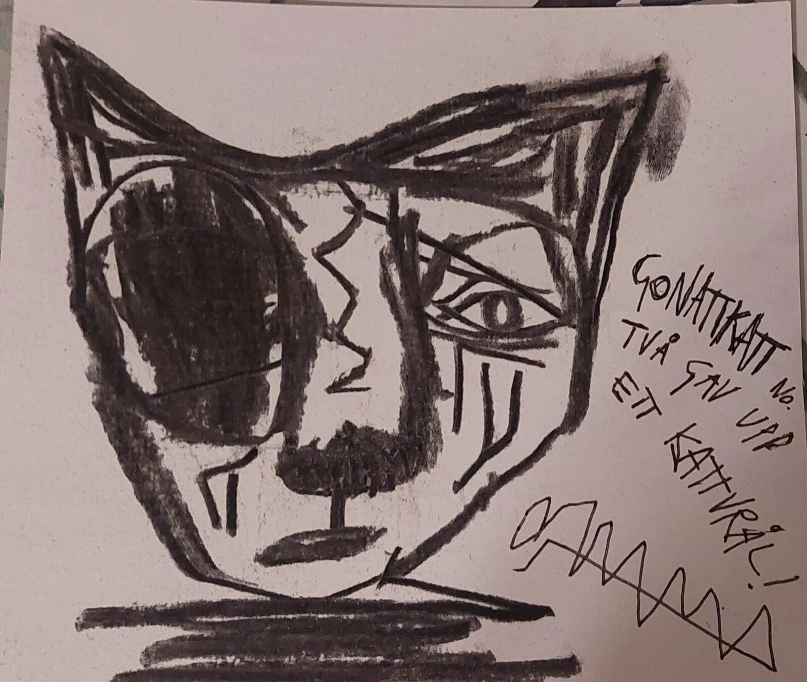 Gonattkatt av Mikael Jonsson