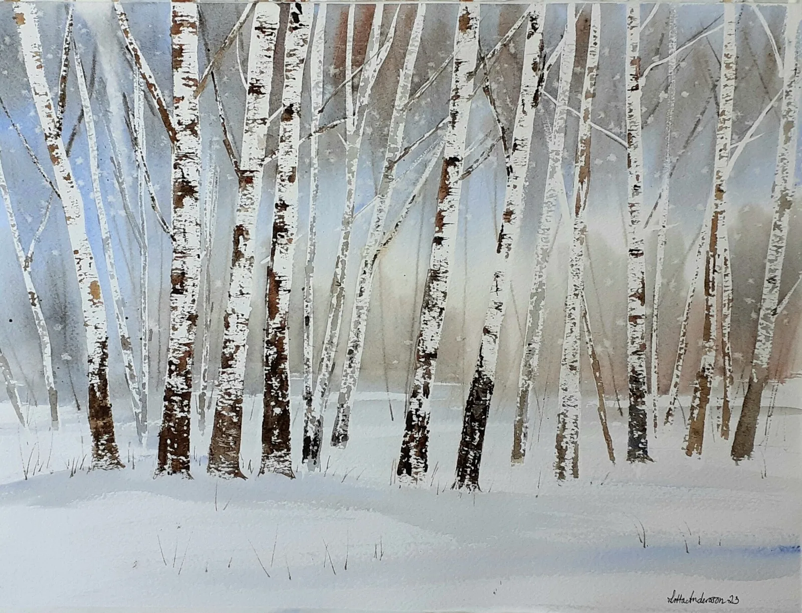 Akvarell Björkskog av Lotta Andersson