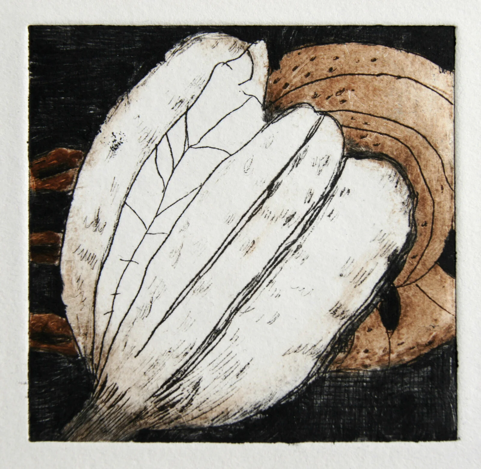 Encapsulated 2 av Eleonore Holm